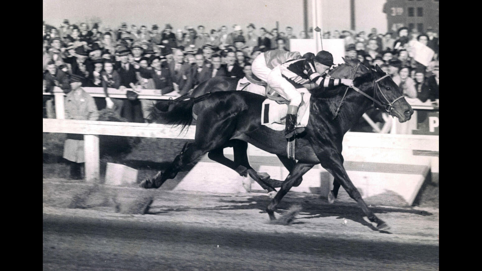 Preakness photos from years past